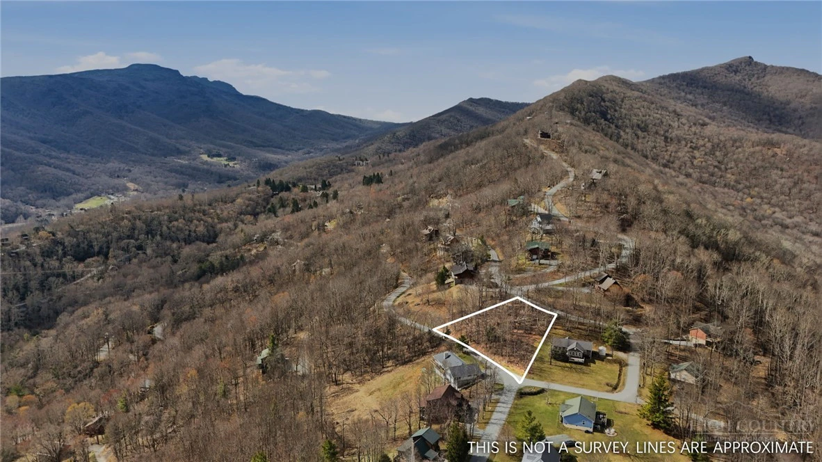 Image number 1 for the current listing