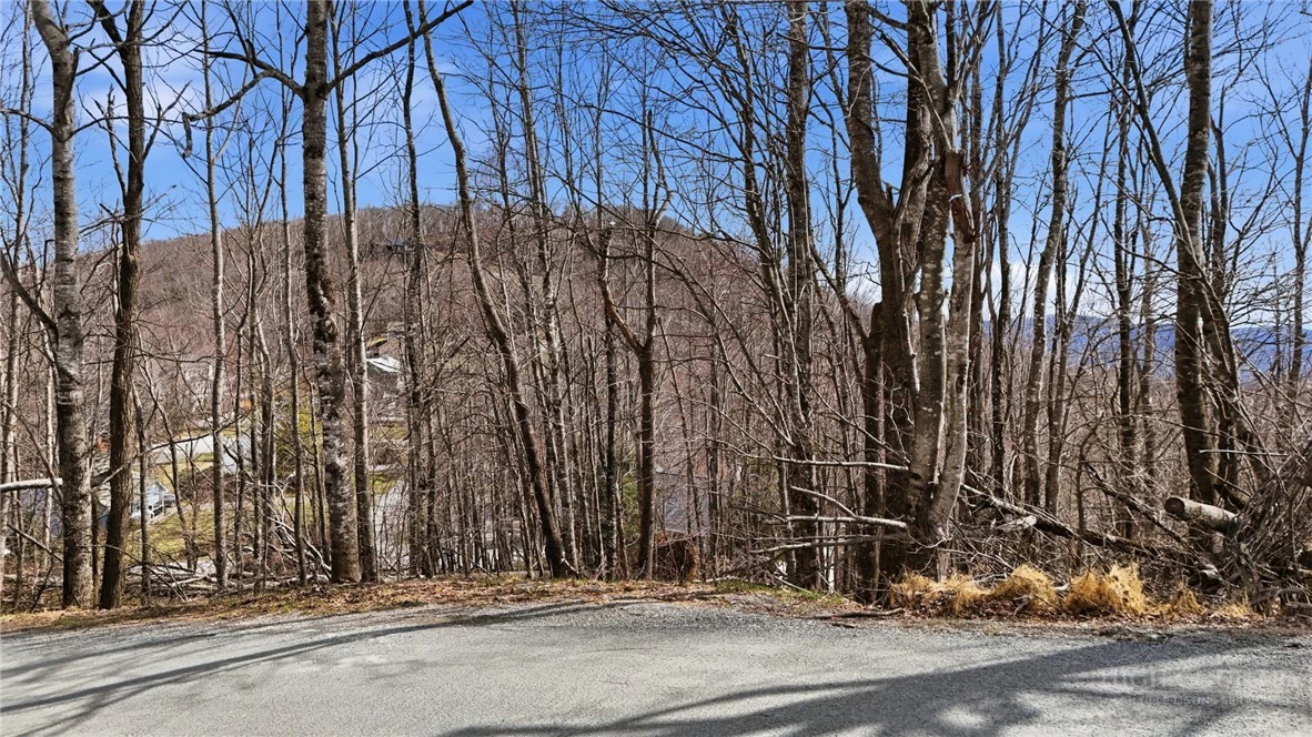 Image number 19 for the current listing