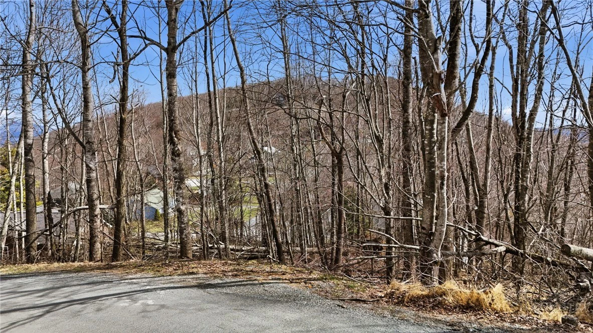 Image number 17 for the current listing