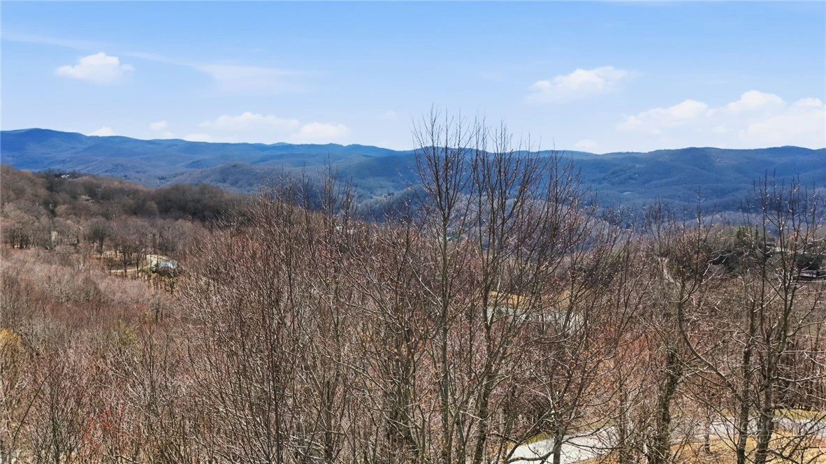 Image number 15 for the current listing