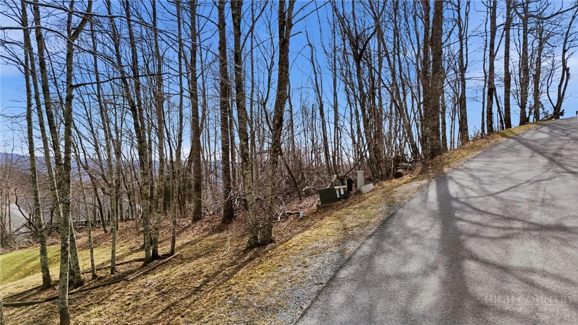 Image number 3 for the current listing