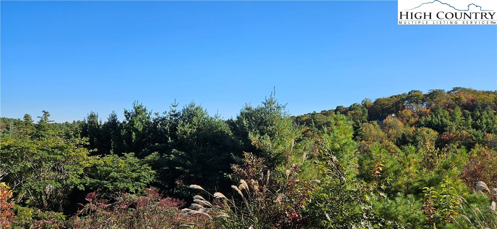 Image number 1 for the current listing