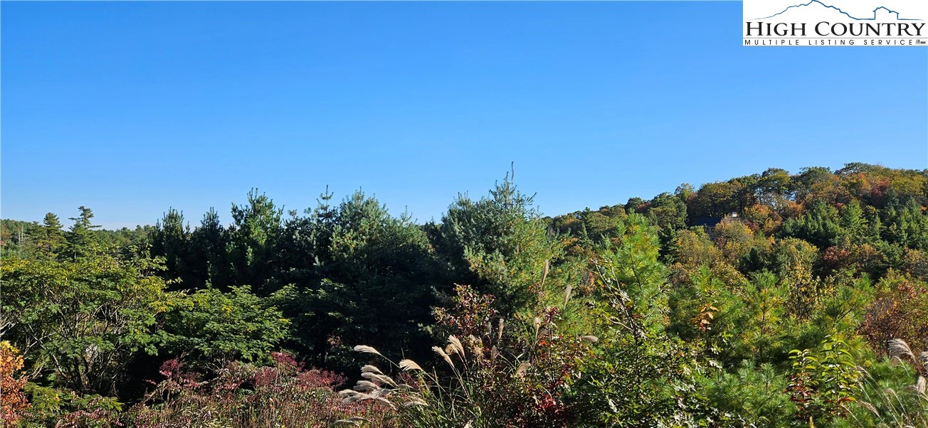 Image number 1 for the current listing