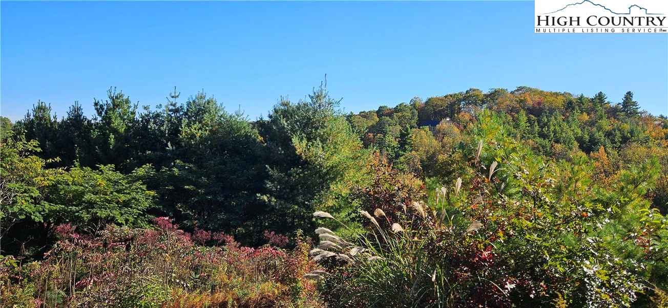 Image number 3 for the current listing