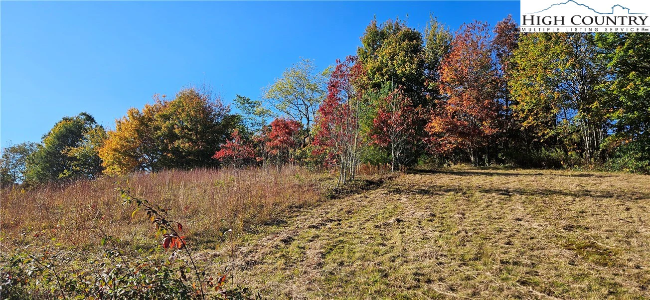 Image number 4 for the current listing
