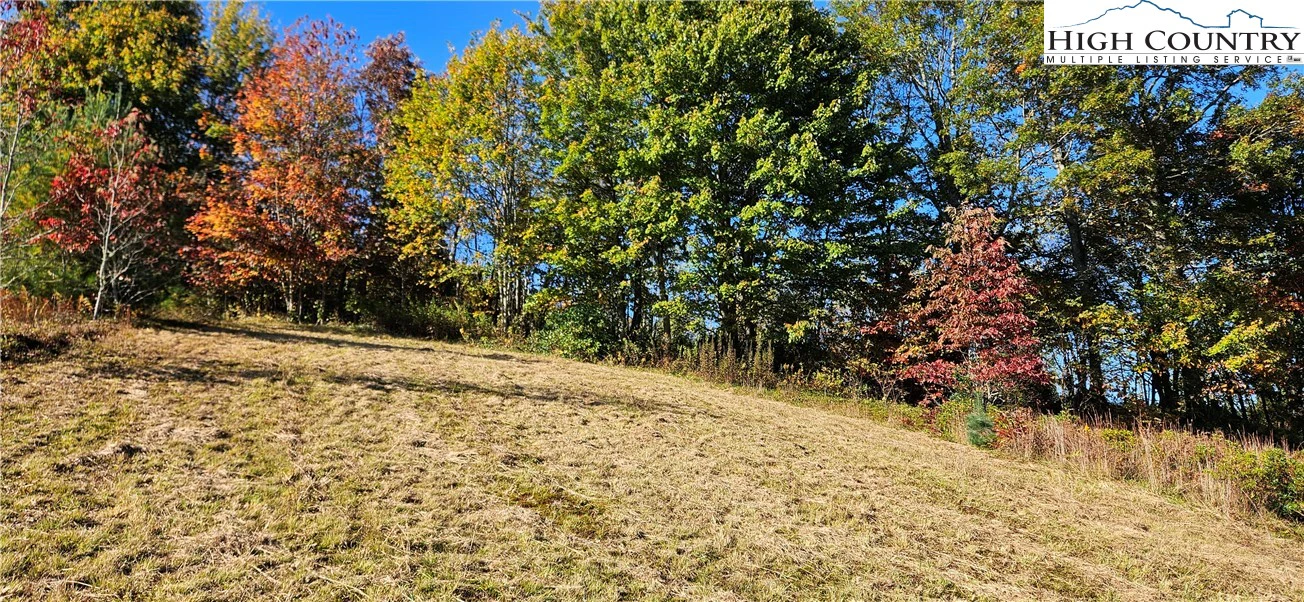 Image number 5 for the current listing