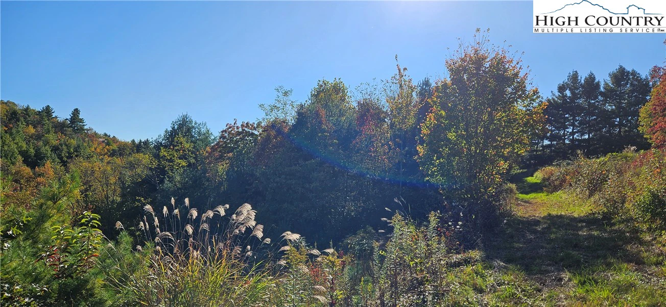 Image number 6 for the current listing