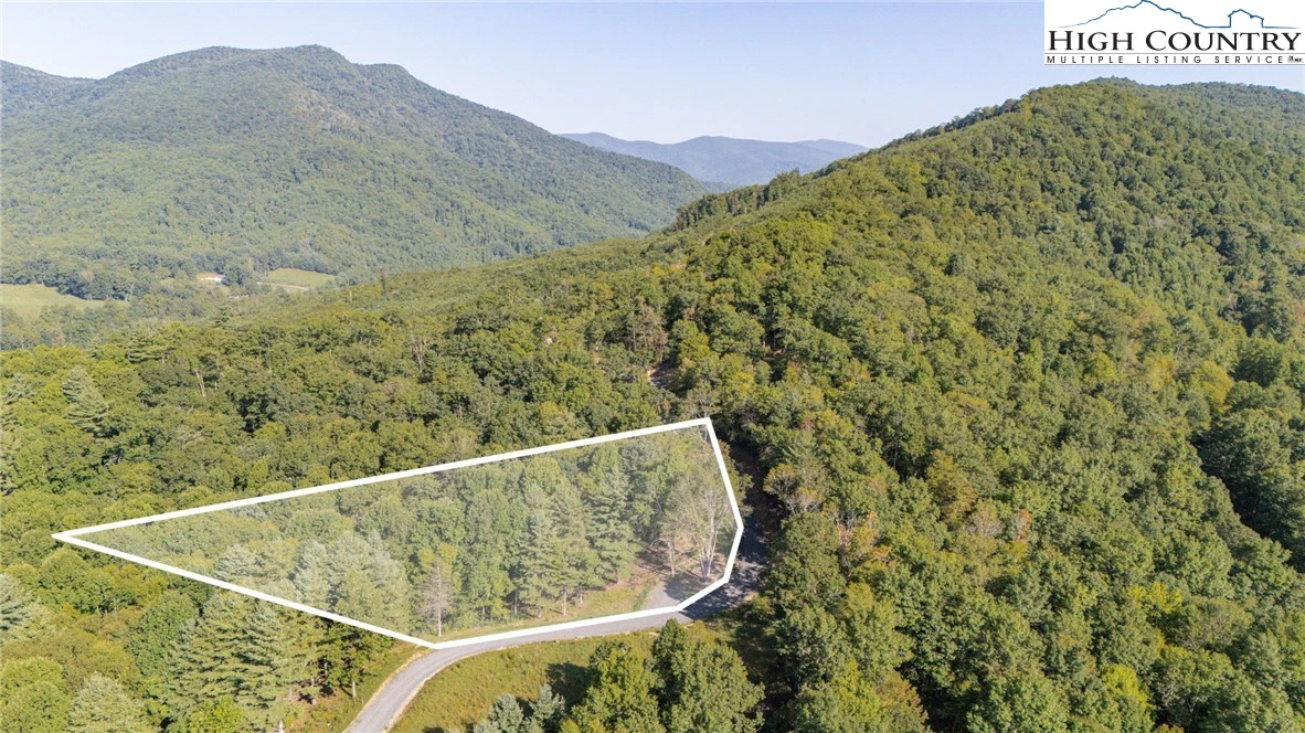 Image number 1 for the current listing