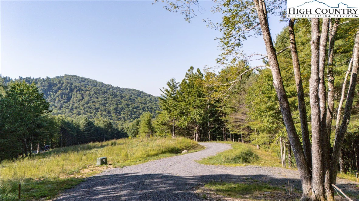 Image number 7 for the current listing