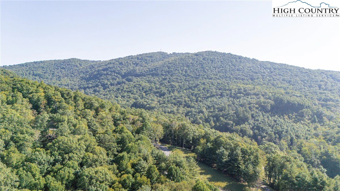 Image number 14 for the current listing