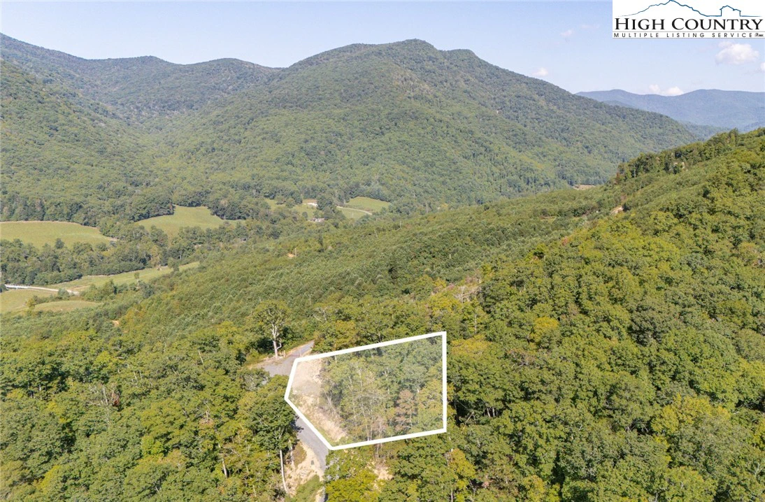 Image number 1 for the current listing