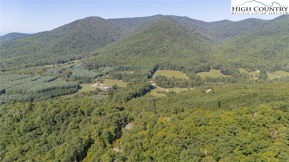 Image number 2 for the current listing