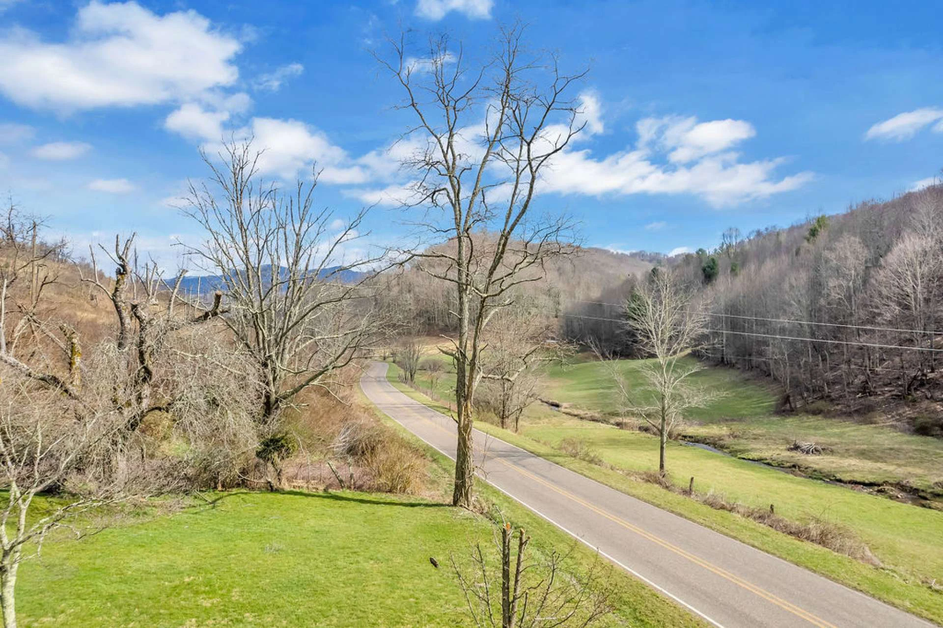Image number 3 for the current listing