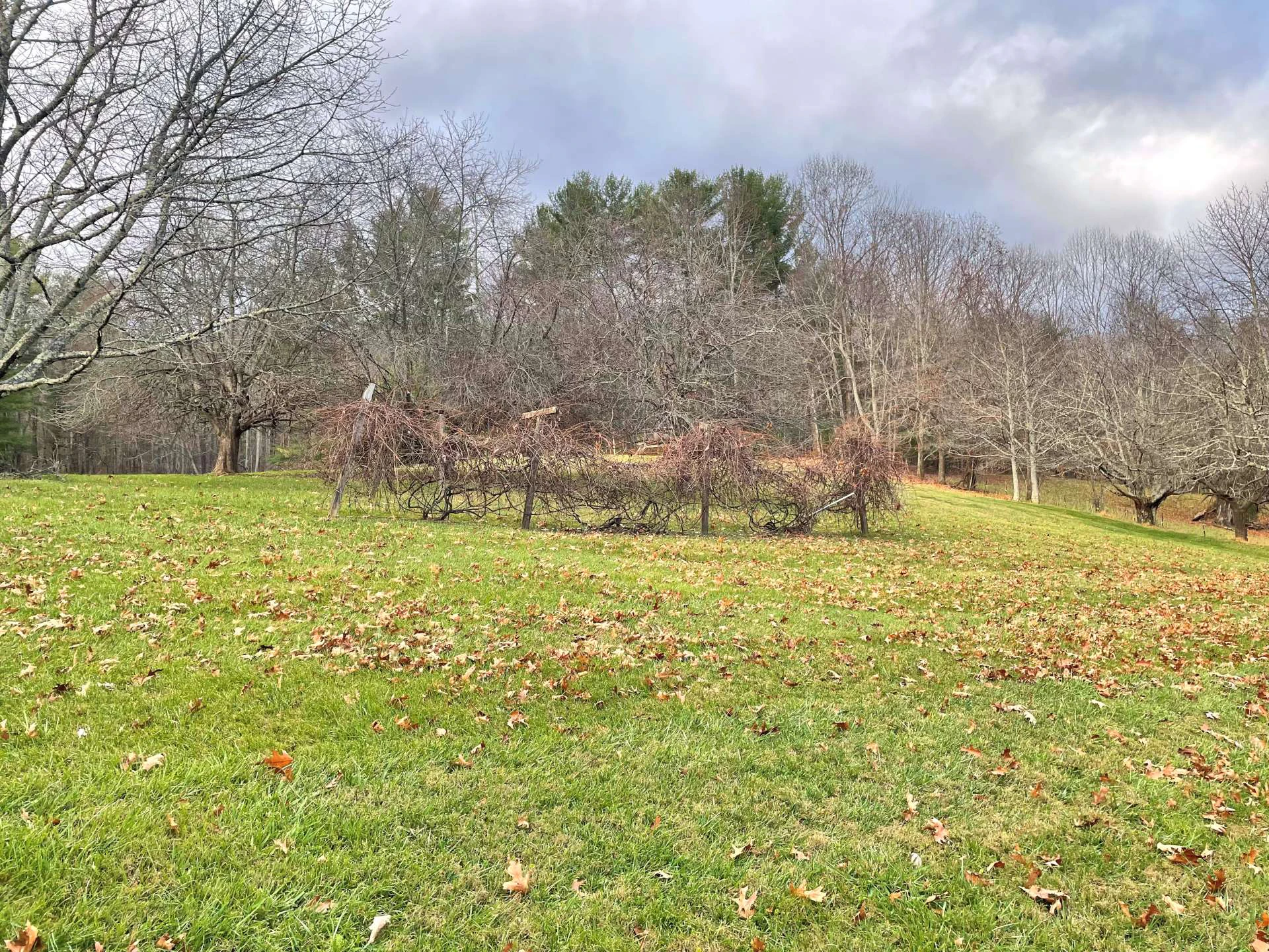Image number 6 for the current listing