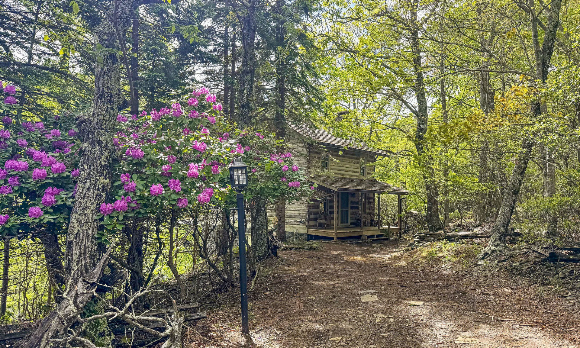 Image number 1 for the current listing
