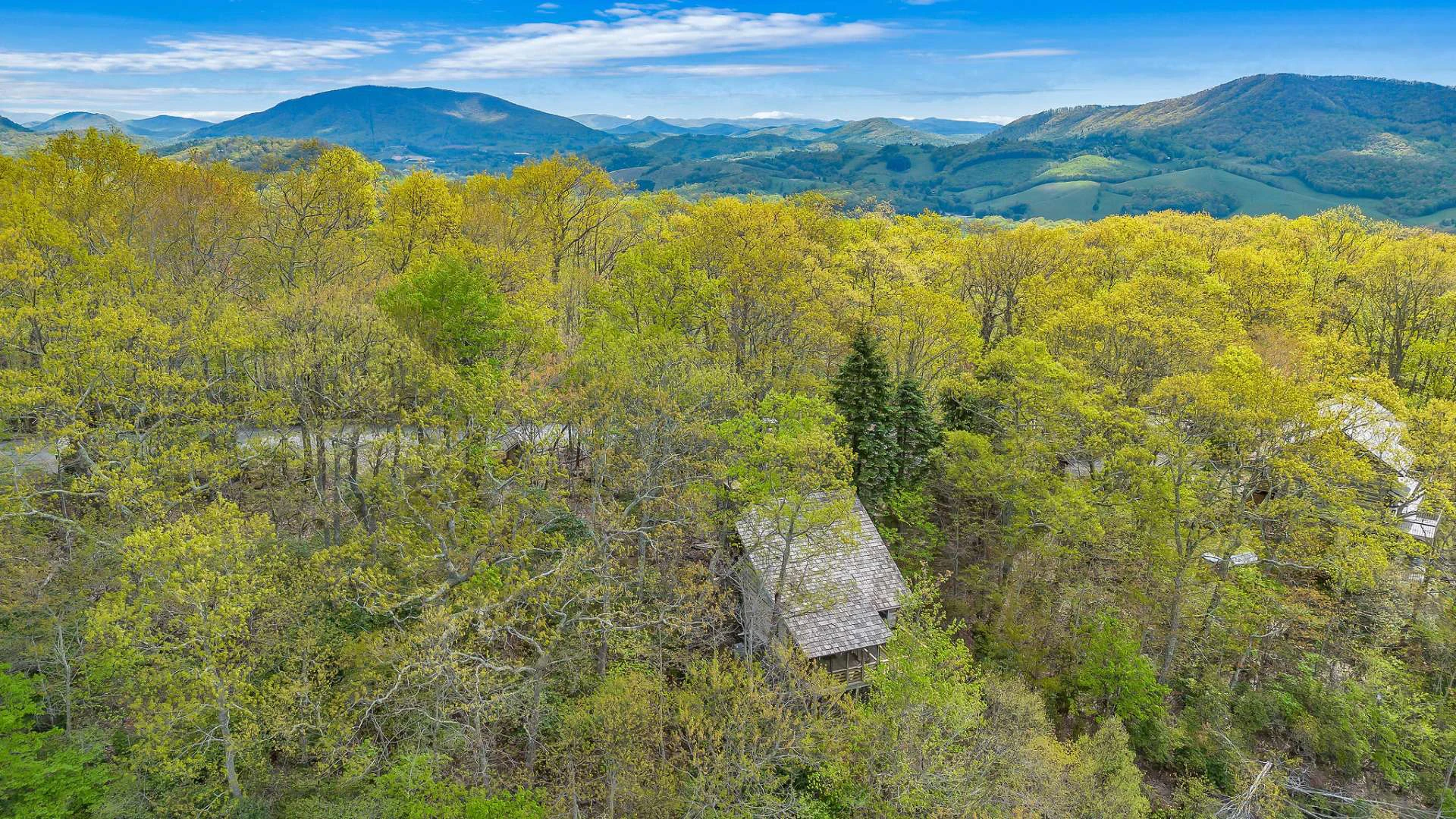 Image number 19 for the current listing