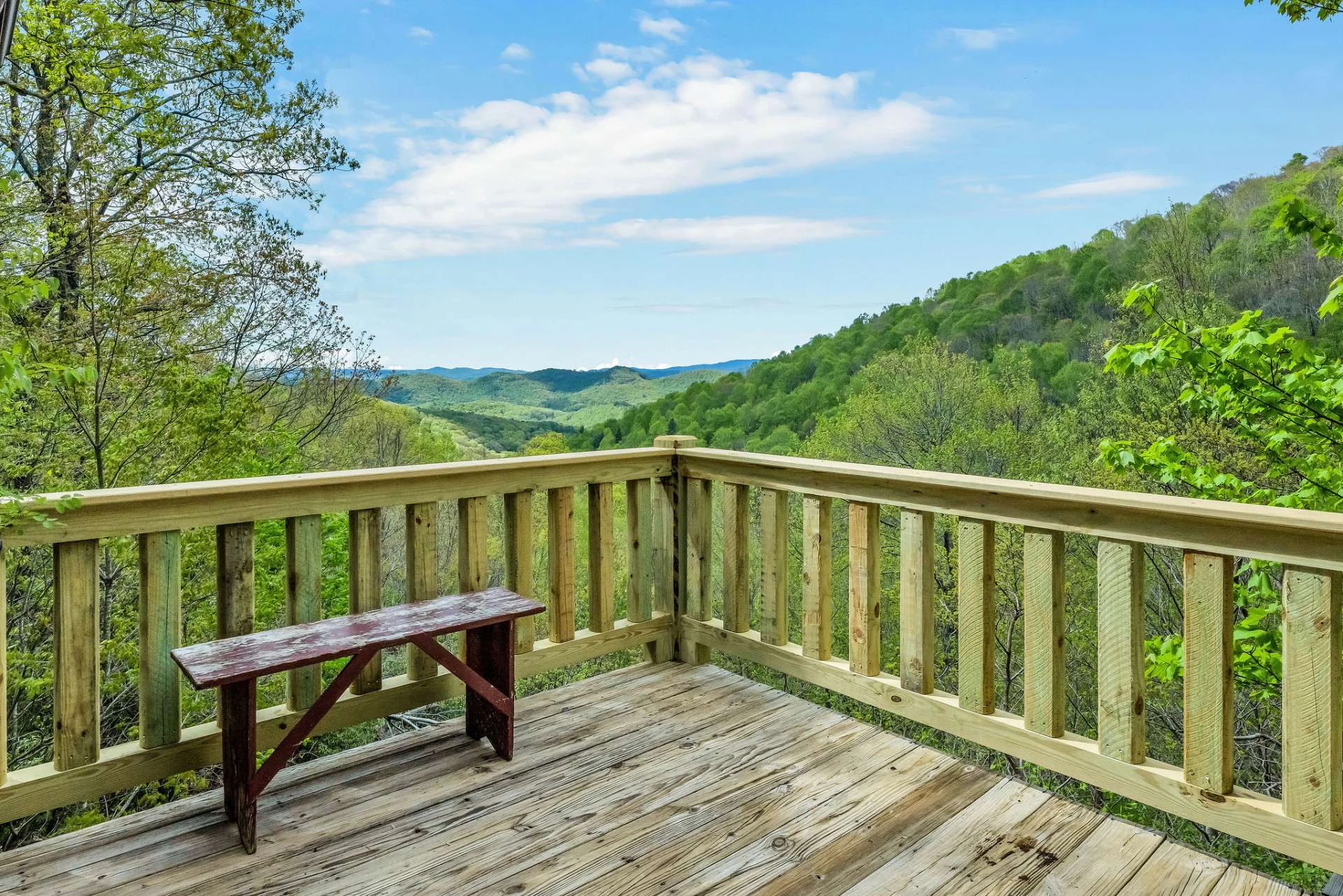 Image number 4 for the current listing