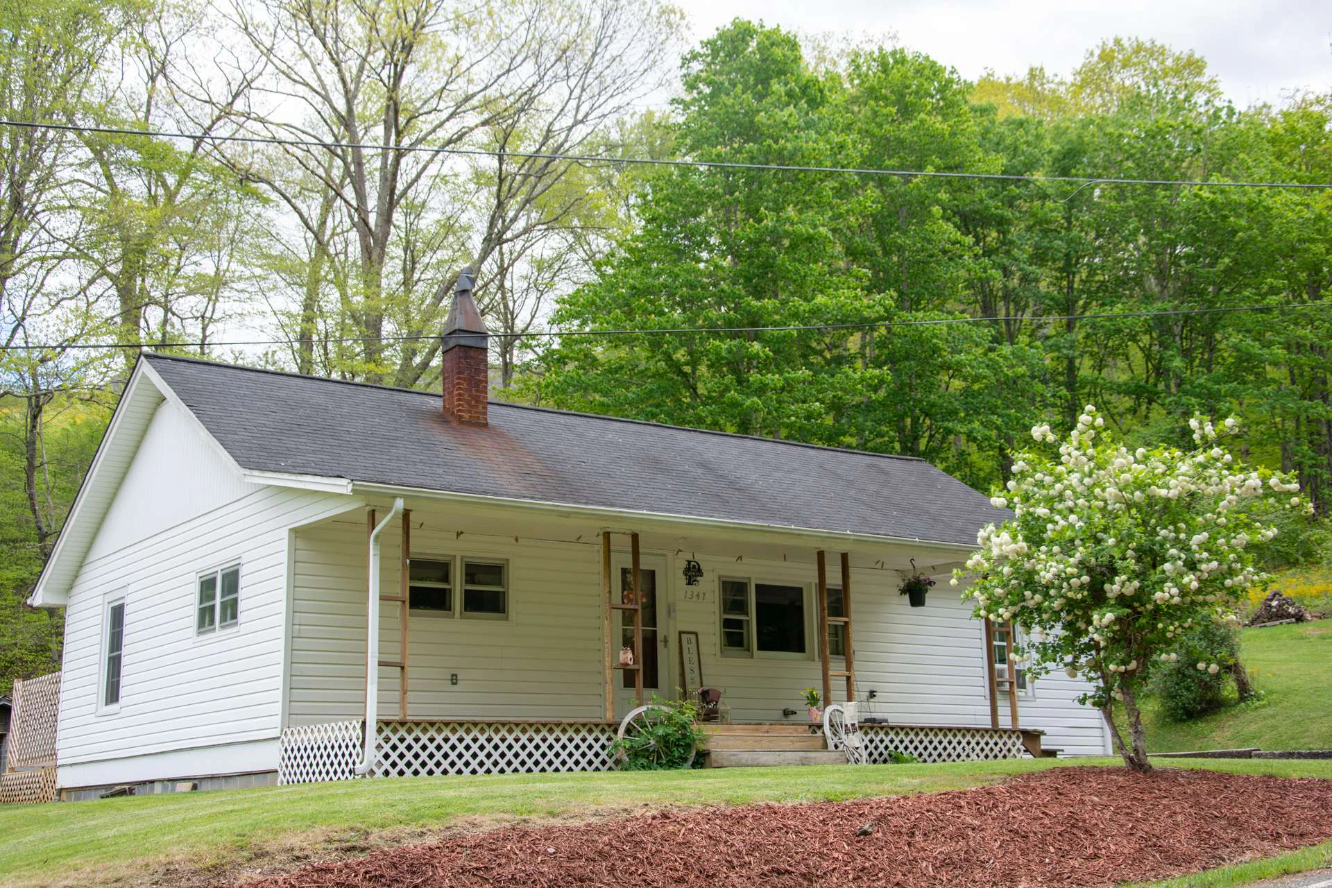Image number 16 for the current listing