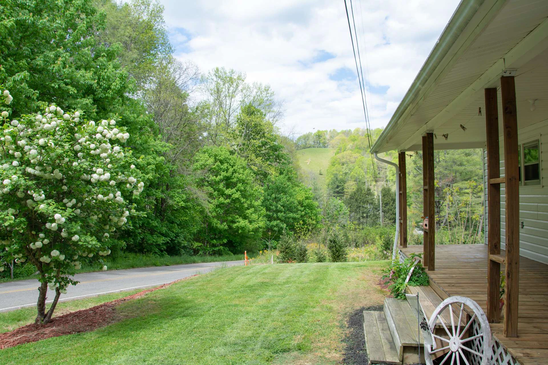 Image number 6 for the current listing
