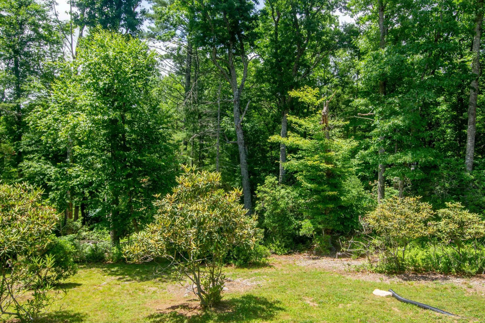 Image number 11 for the current listing