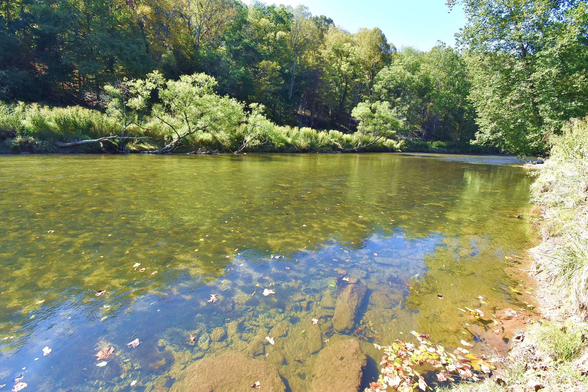Image number 5 for the current listing