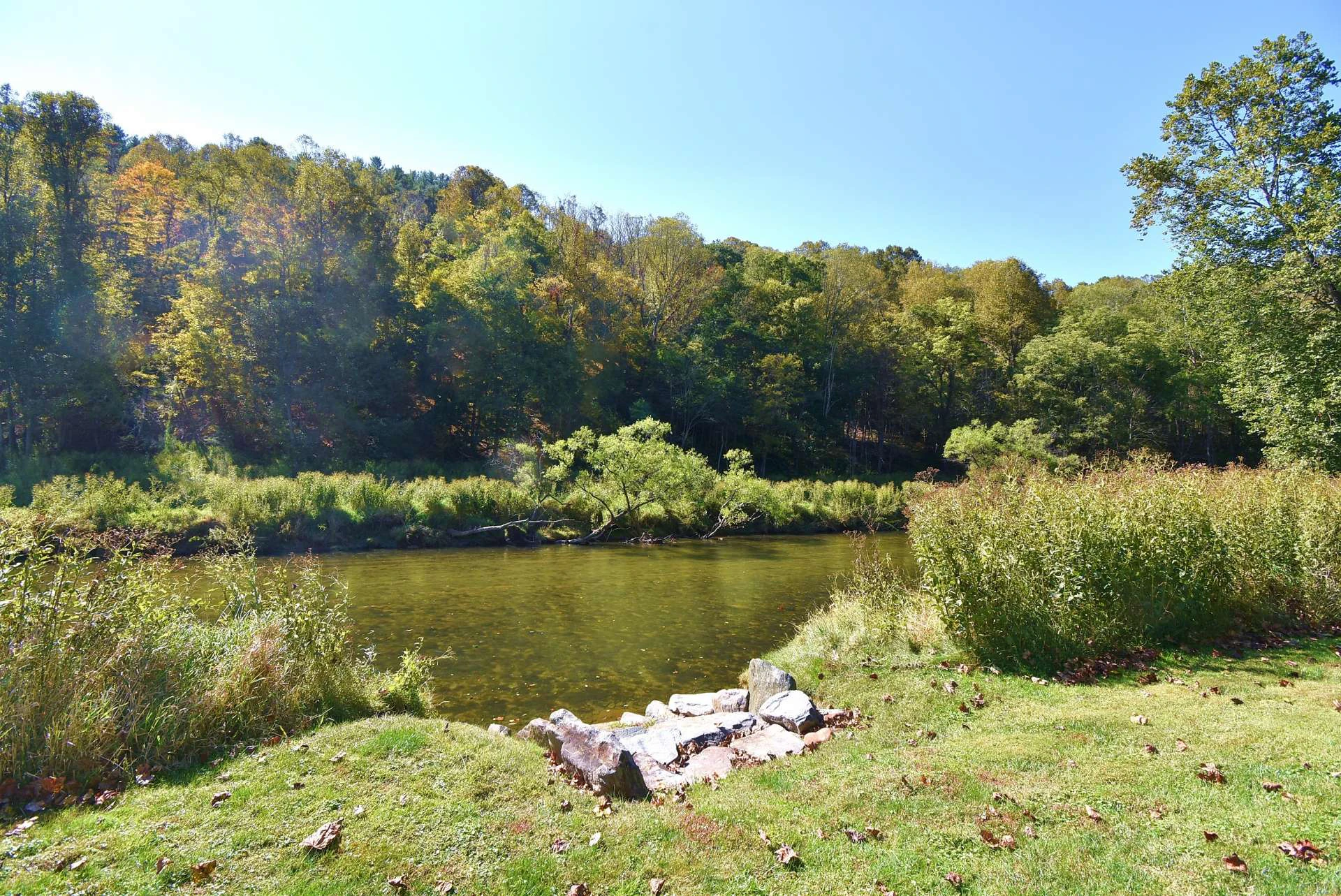 Image number 4 for the current listing