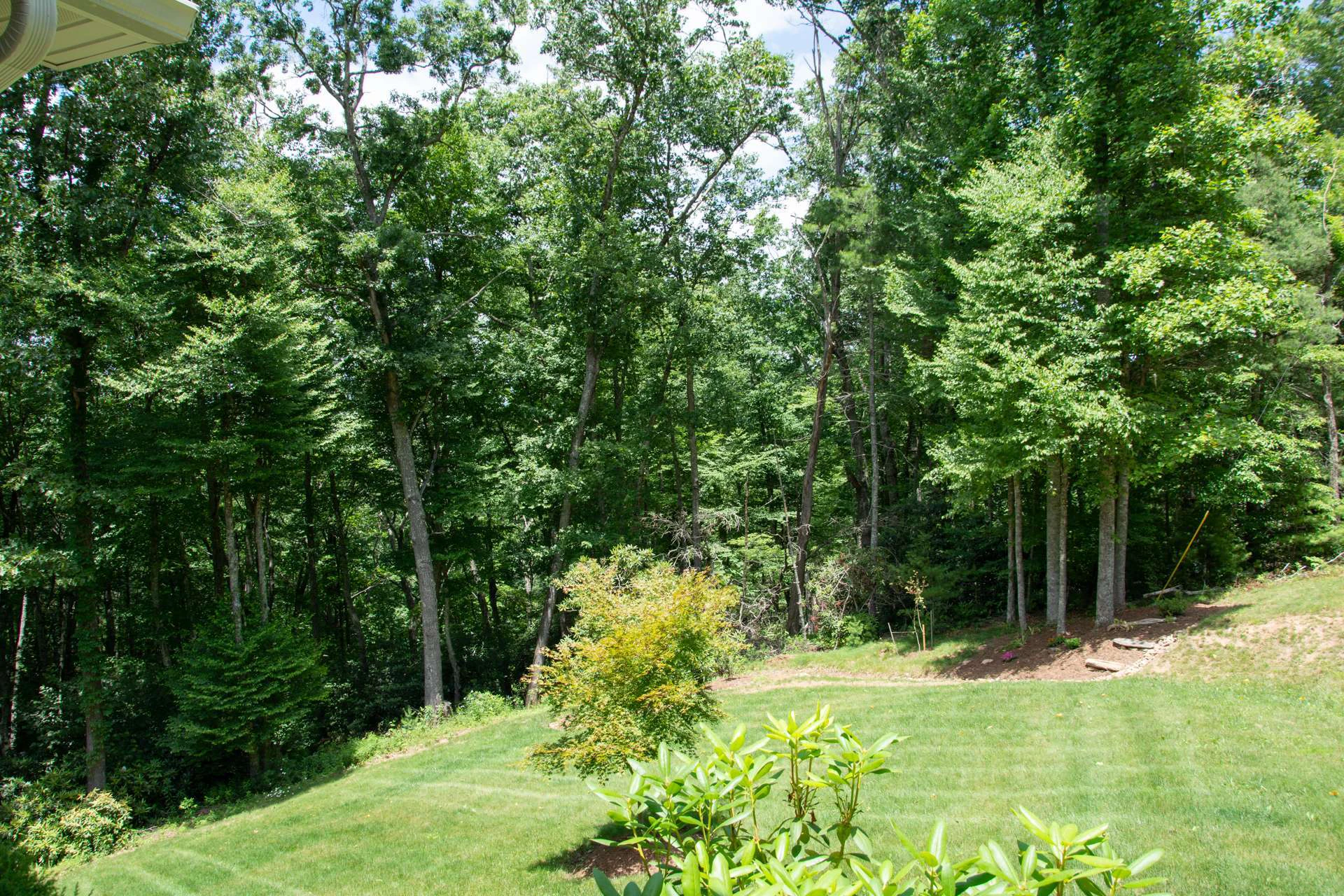 Image number 12 for the current listing