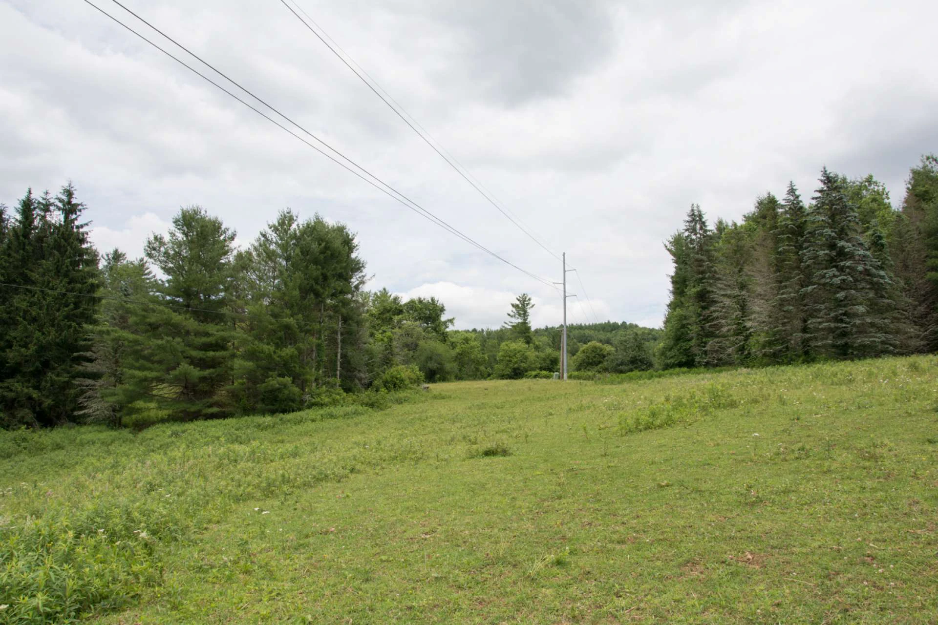 Image number 21 for the current listing