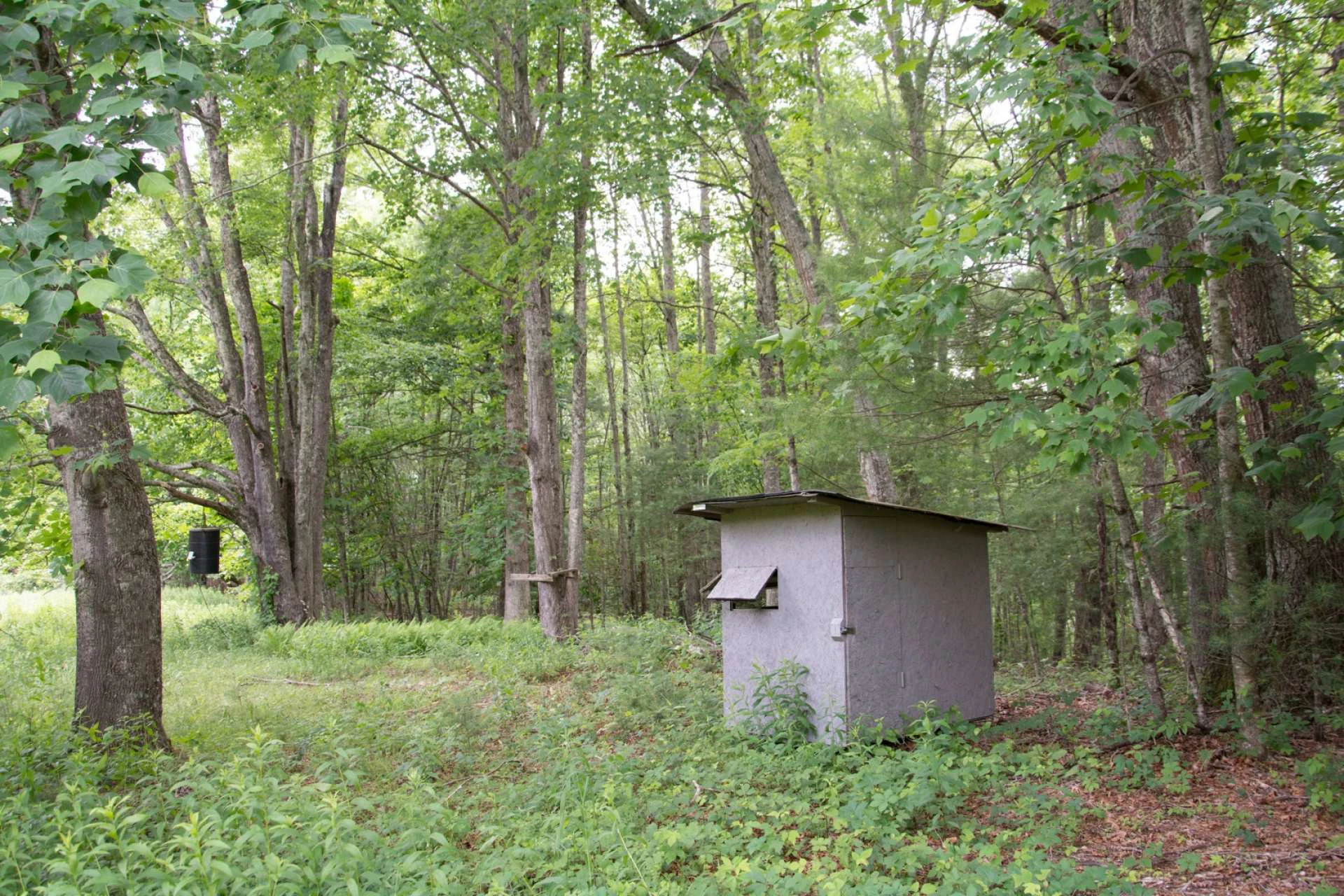 Image number 18 for the current listing