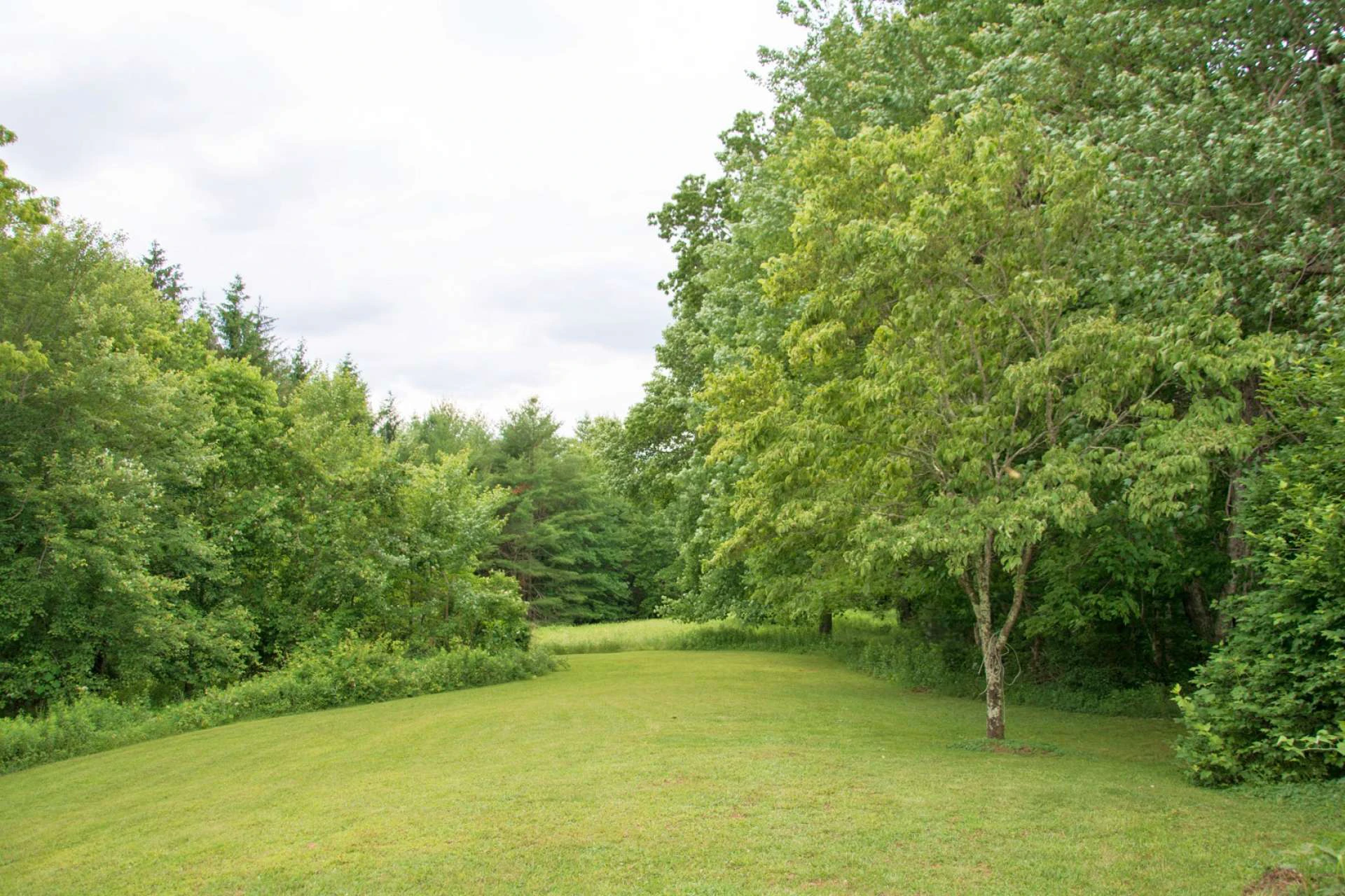 Image number 17 for the current listing