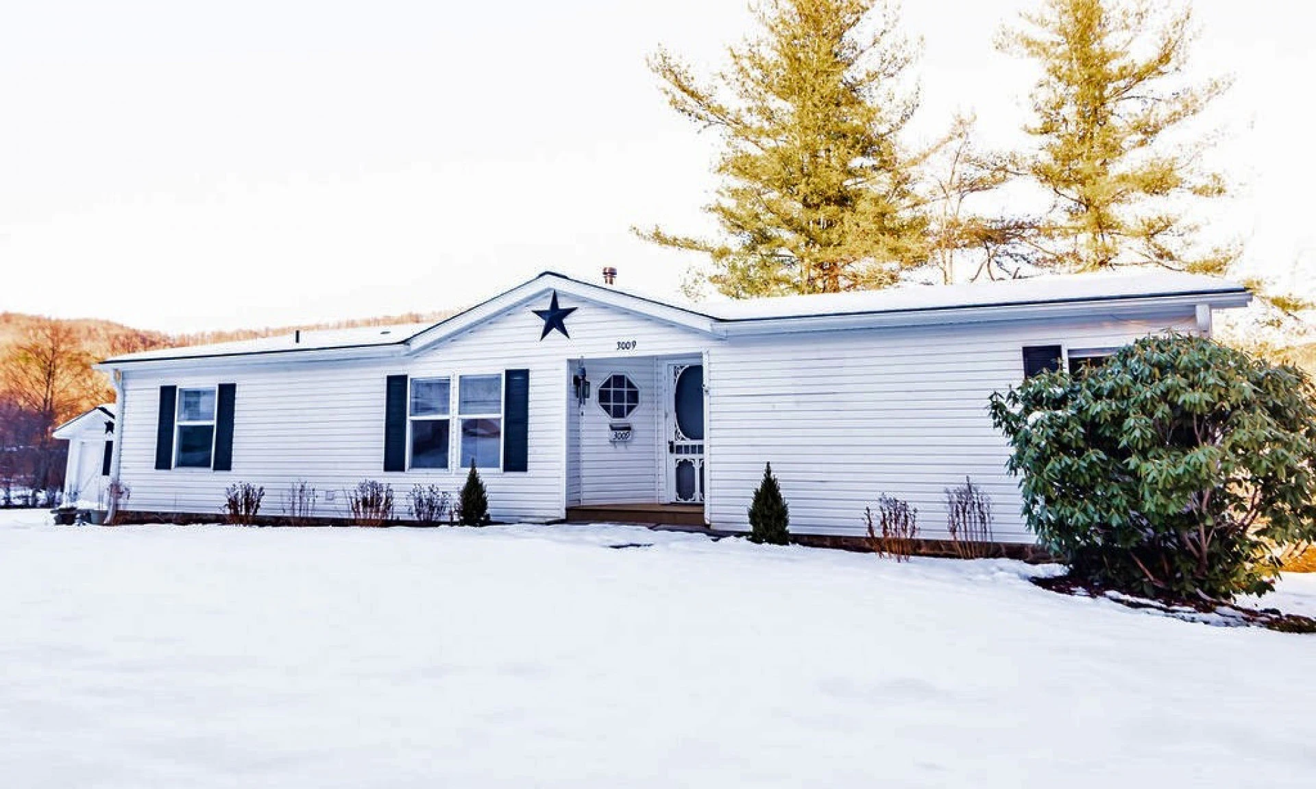 Image number 1 for the current listing