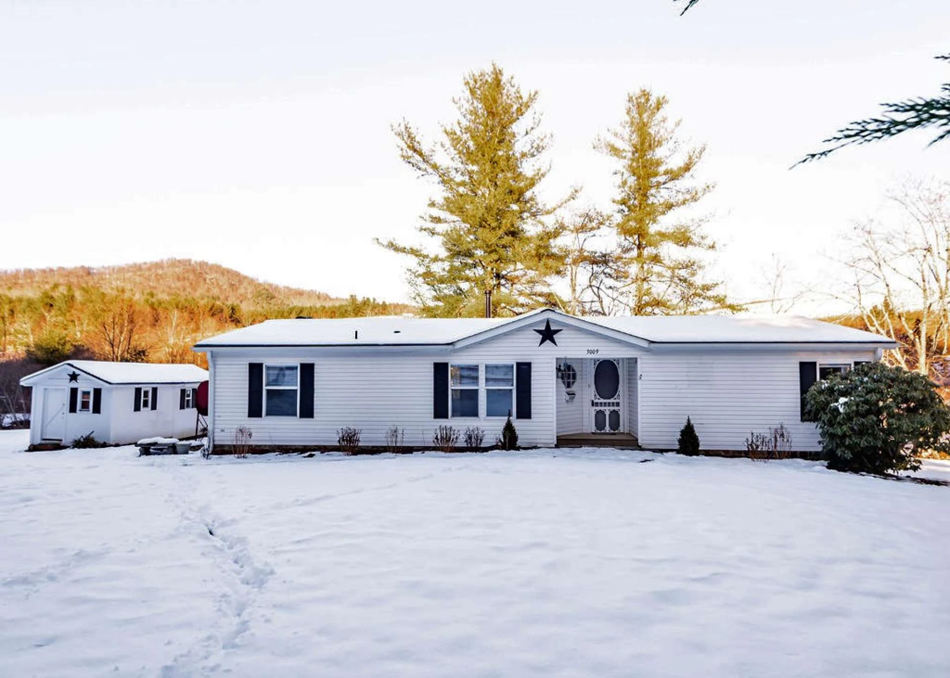 Image number 3 for the current listing