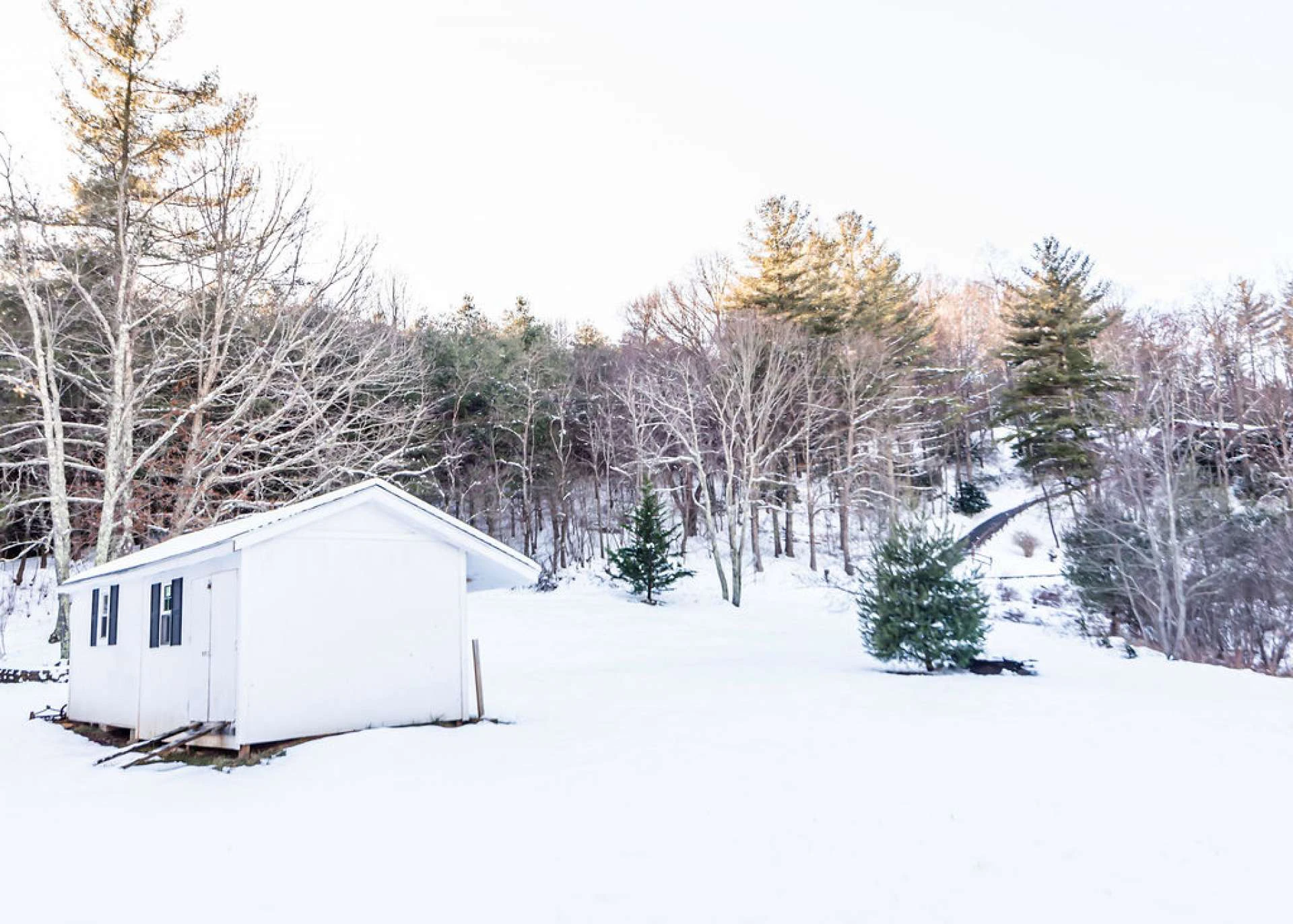 Image number 7 for the current listing