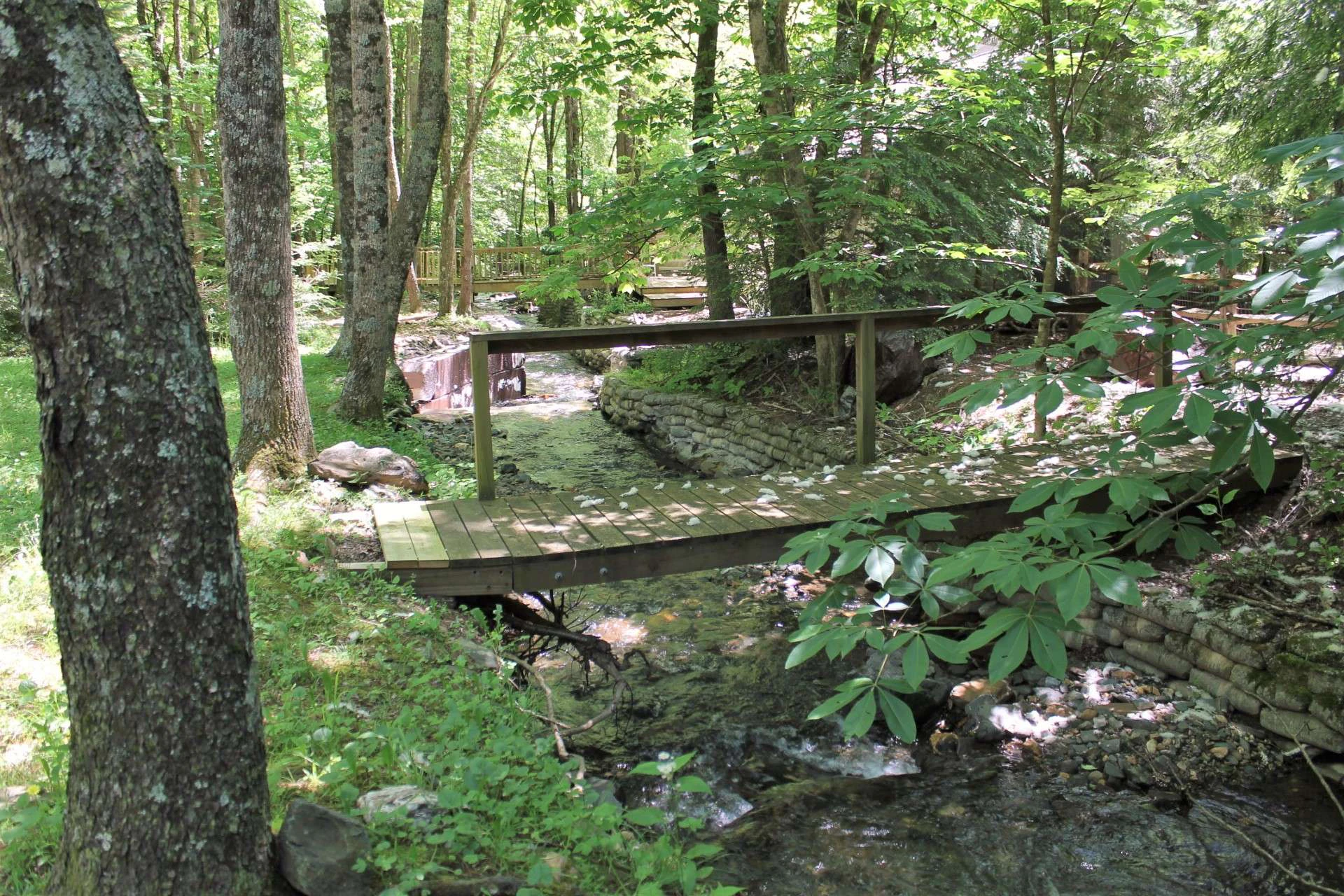 Image number 3 for the current listing