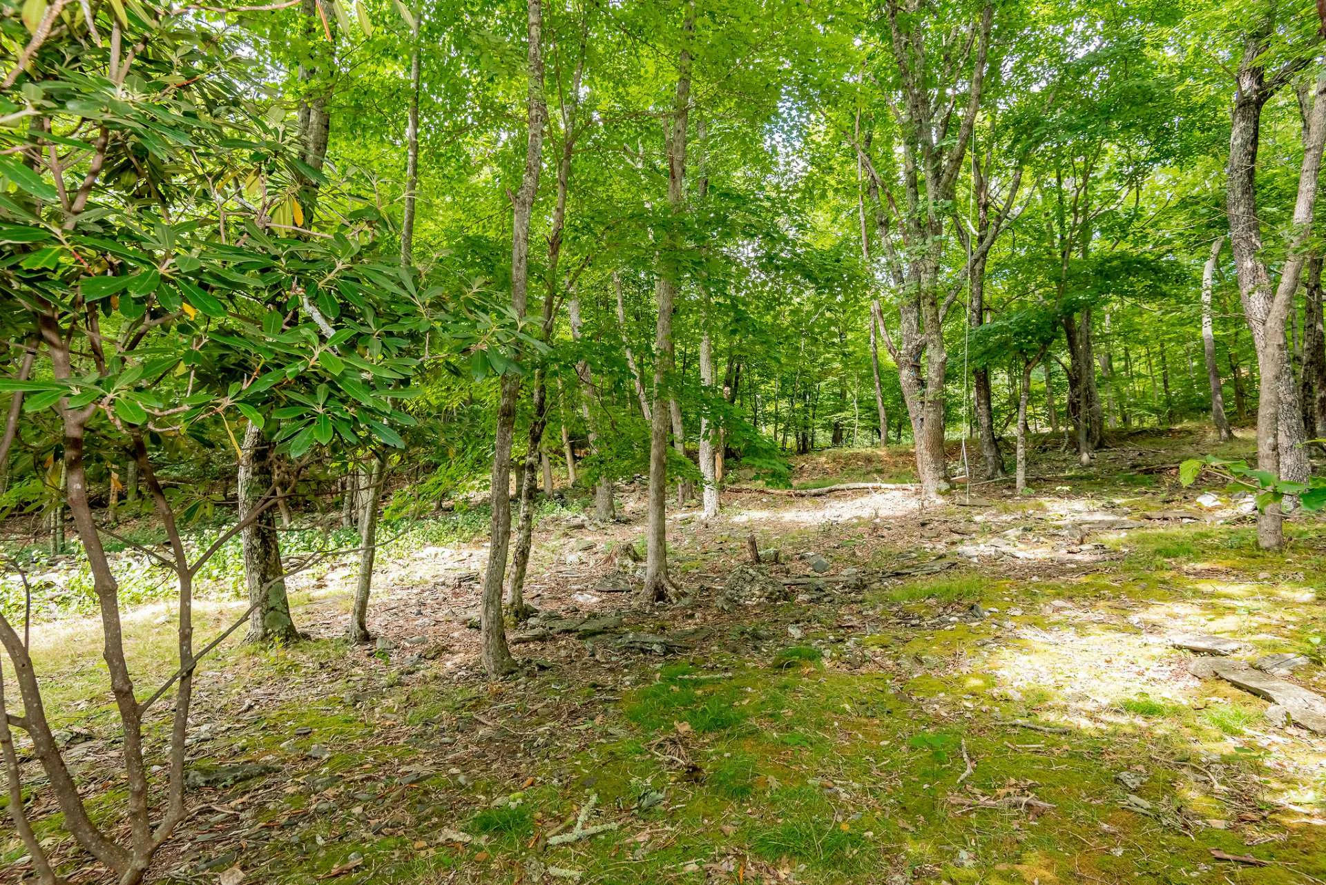 Image number 17 for the current listing