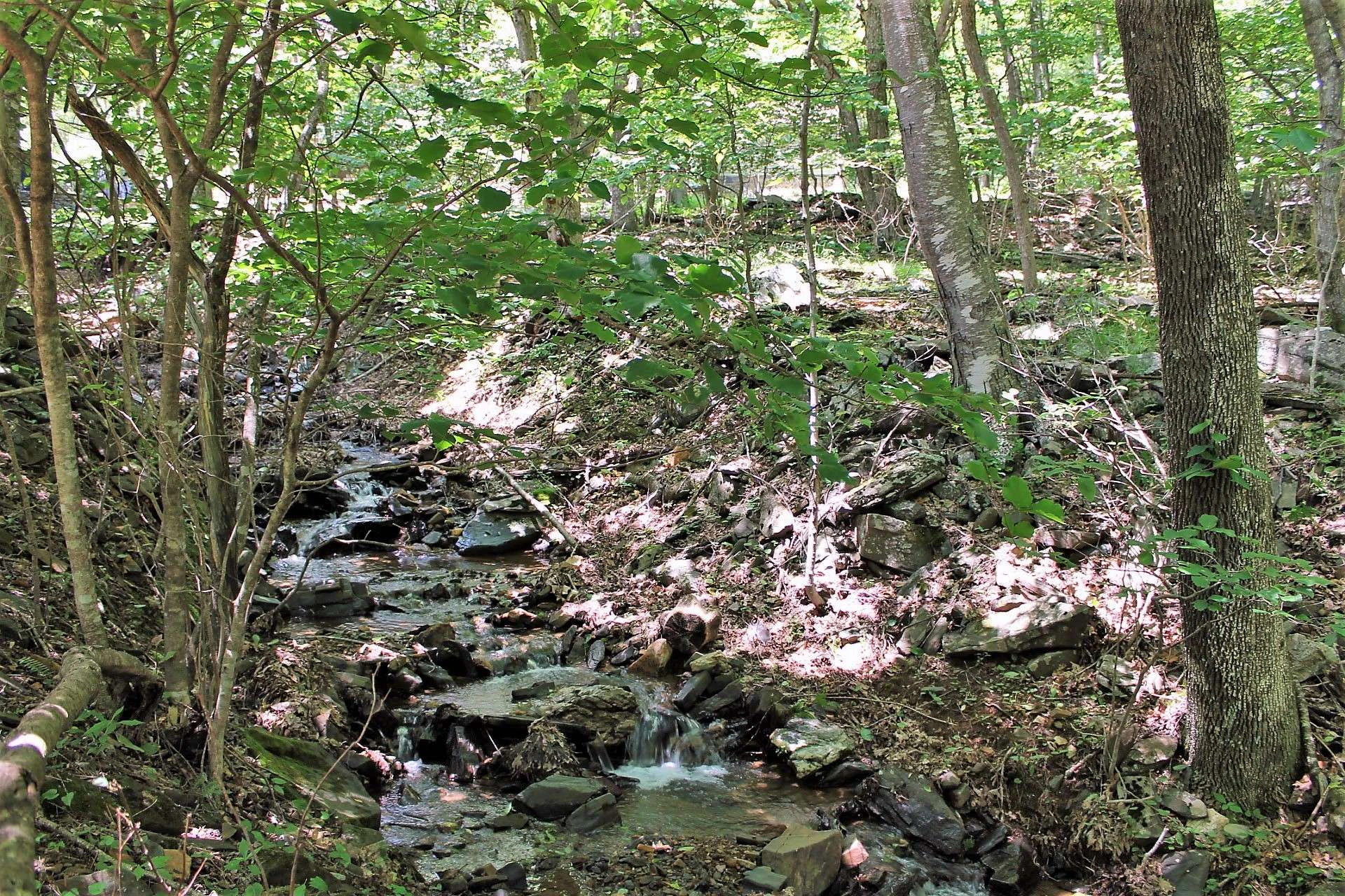 Image number 4 for the current listing