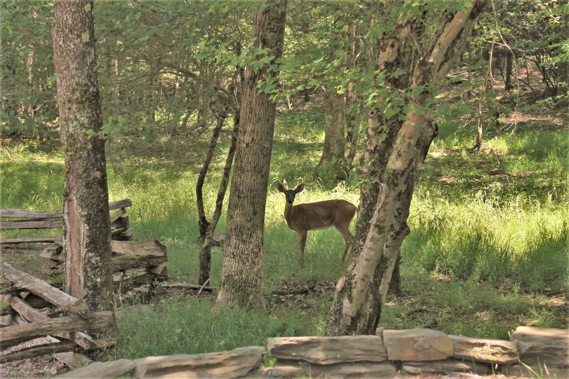 Image number 22 for the current listing