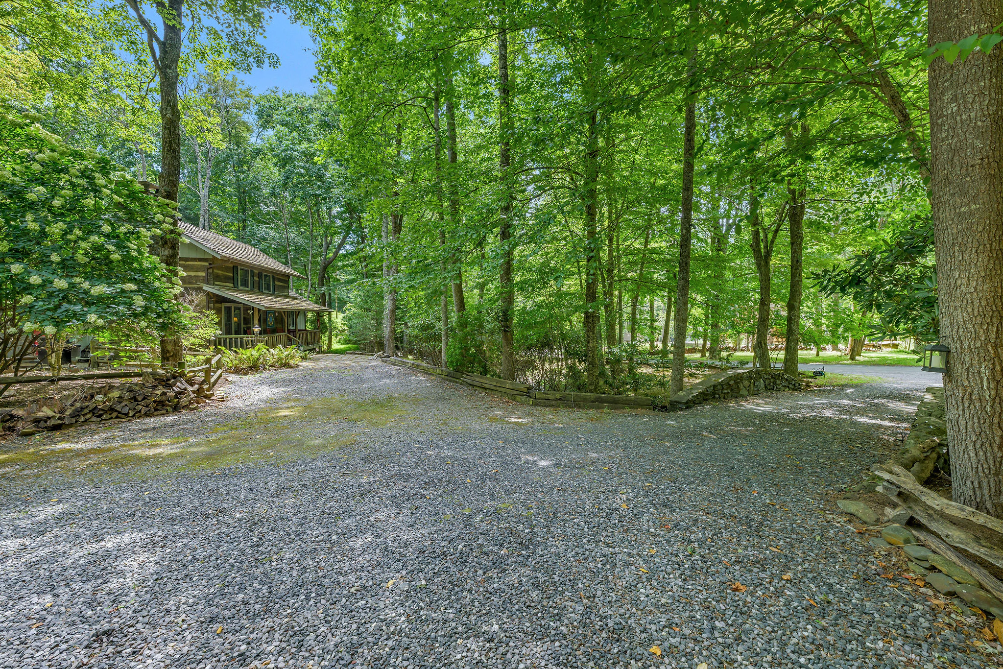 Image number 4 for the current listing