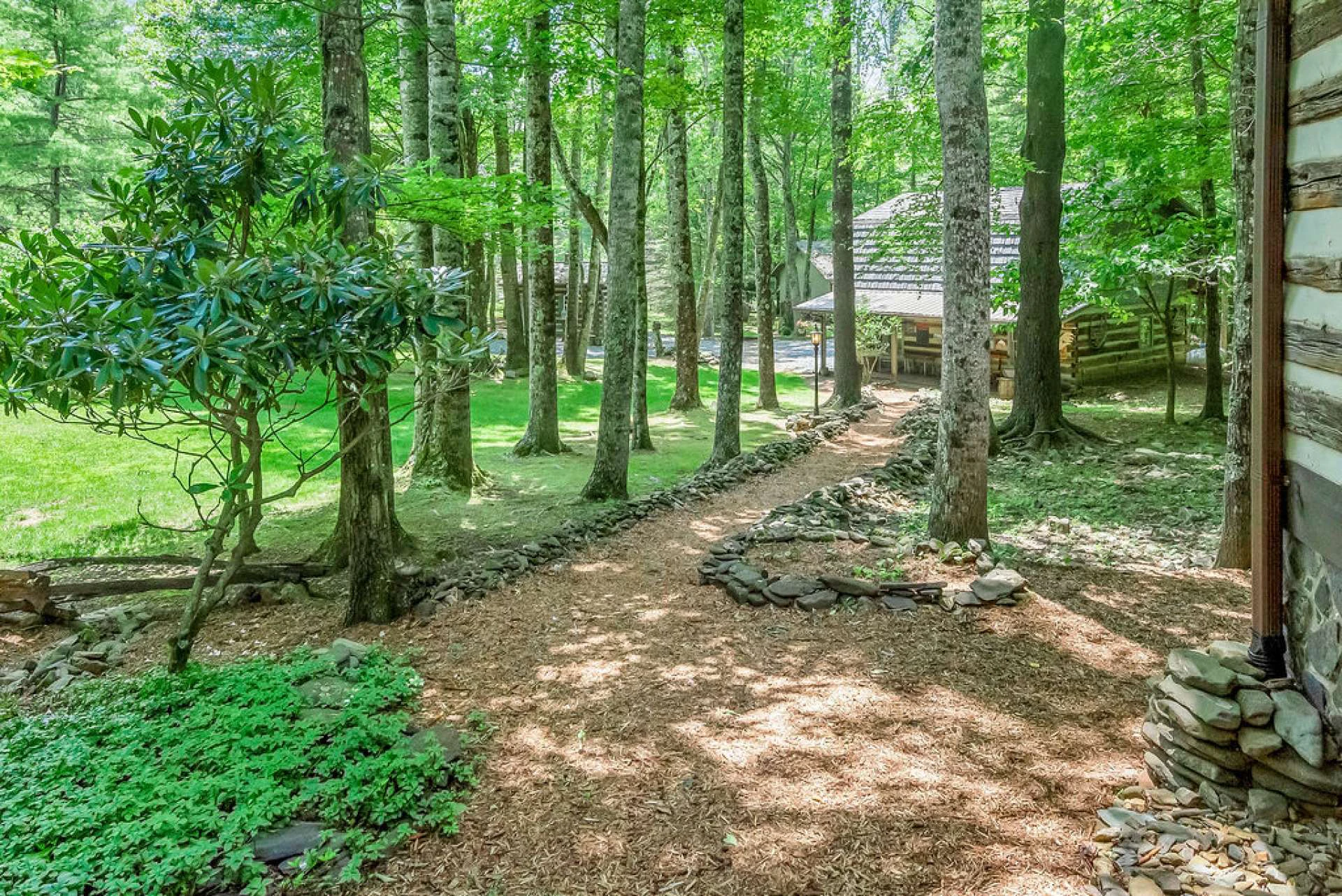 Image number 2 for the current listing