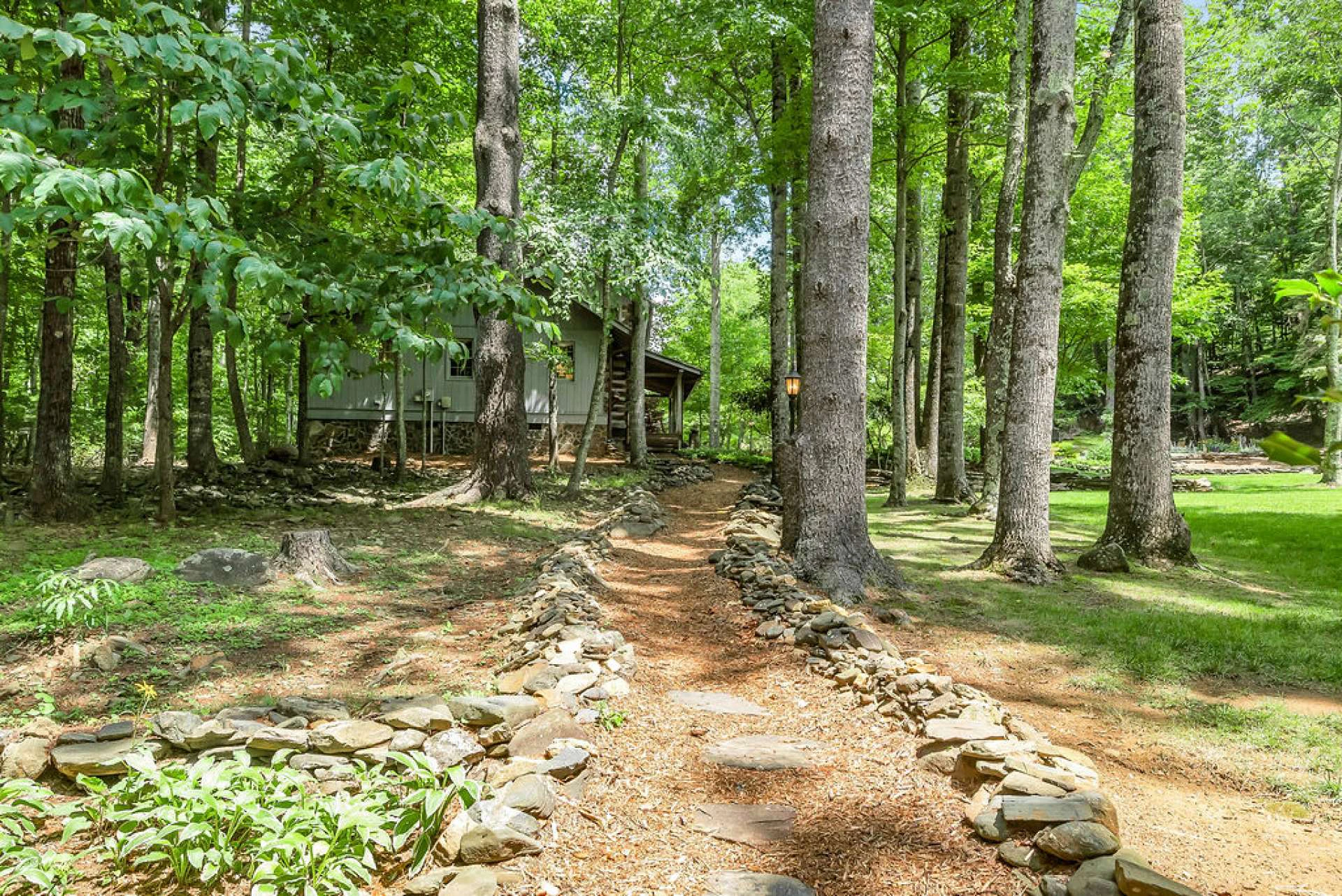 Image number 12 for the current listing