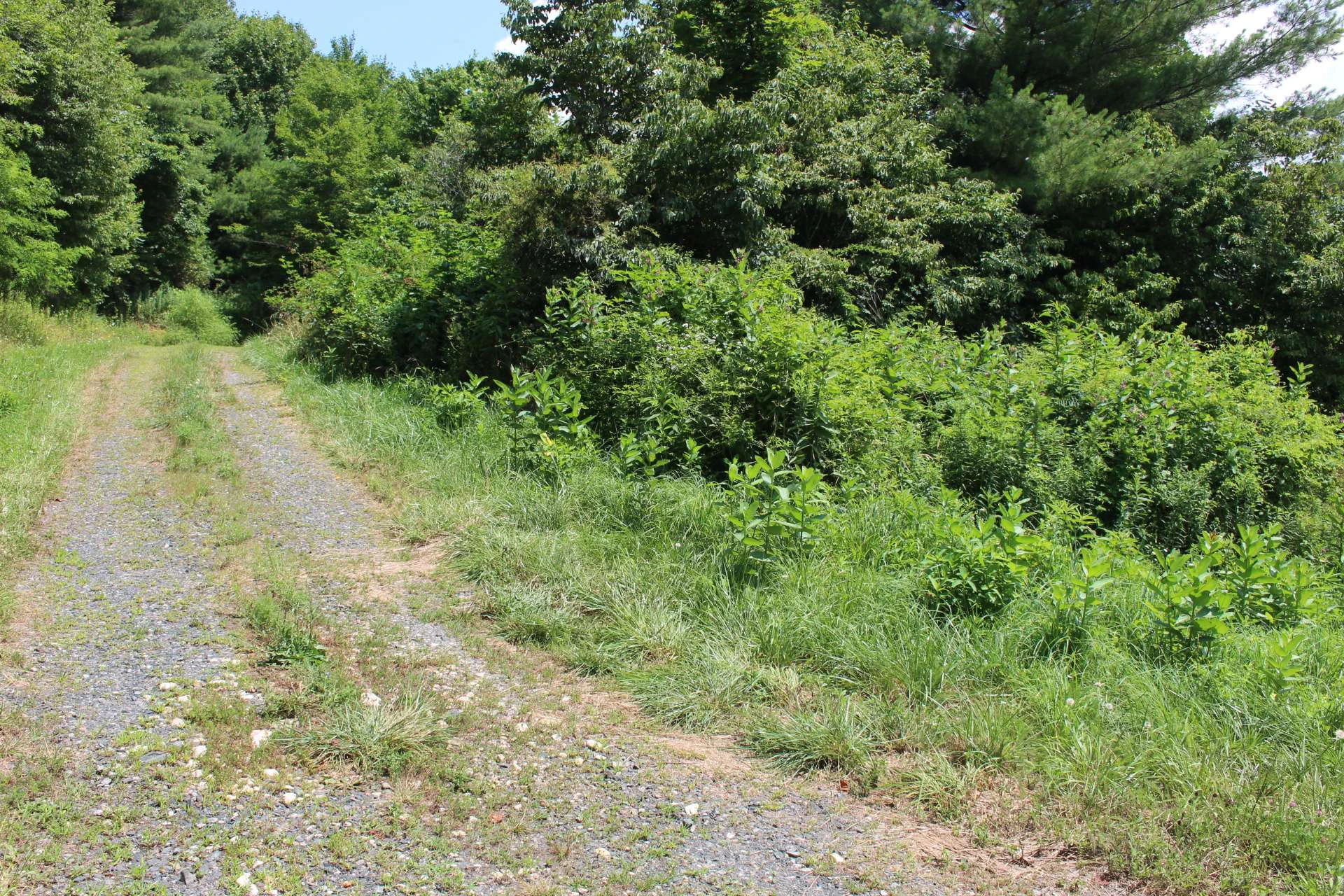 Image number 2 for the current listing
