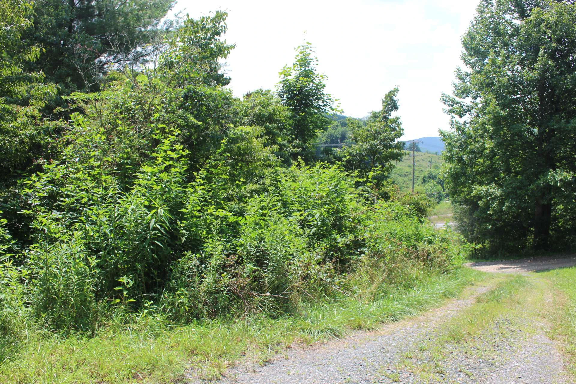 Image number 3 for the current listing