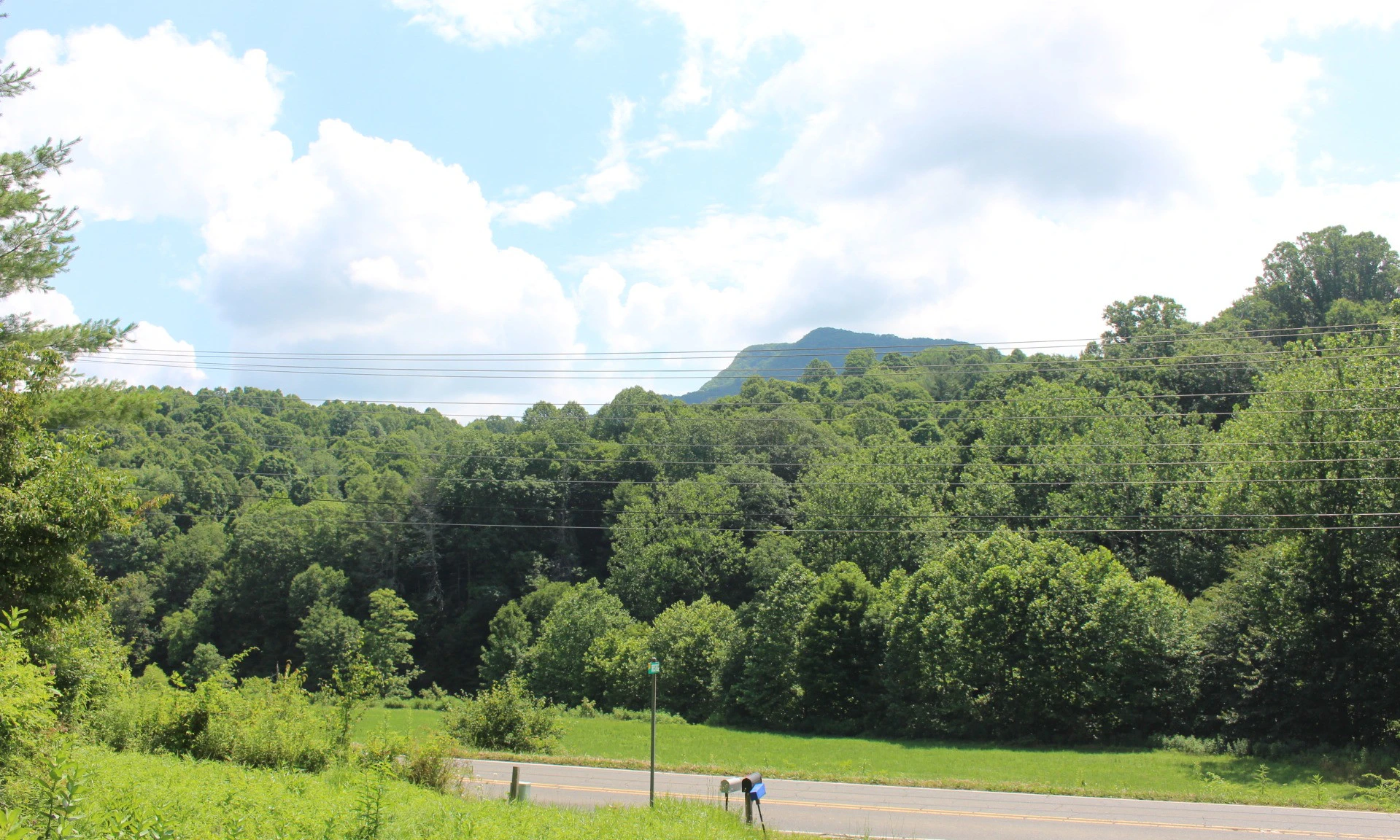 Image number 1 for the current listing