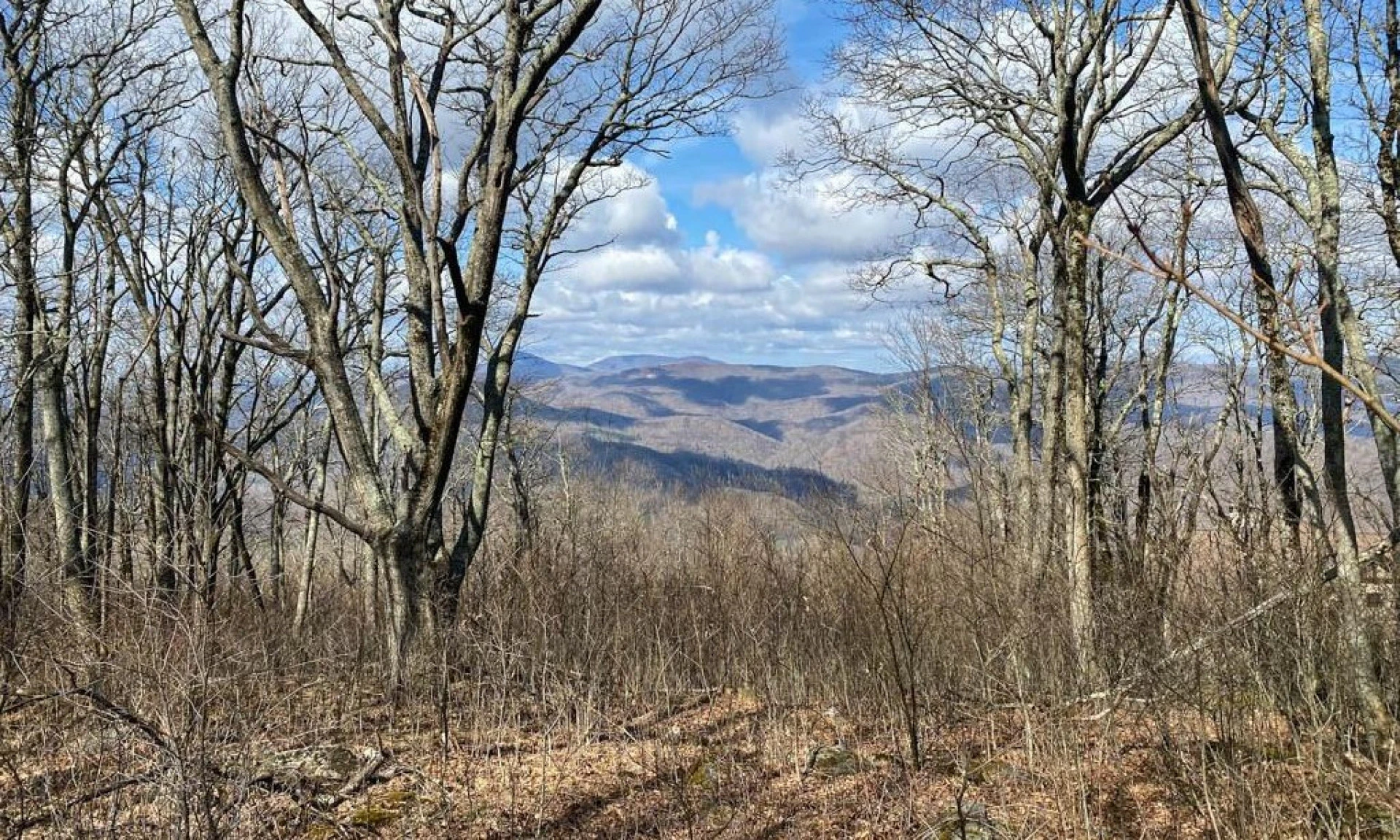 Image number 1 for the current listing
