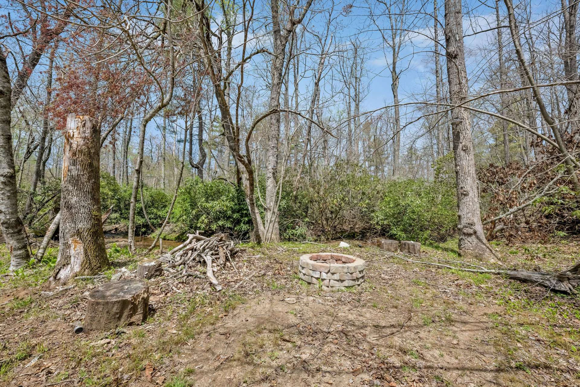 Image number 18 for the current listing
