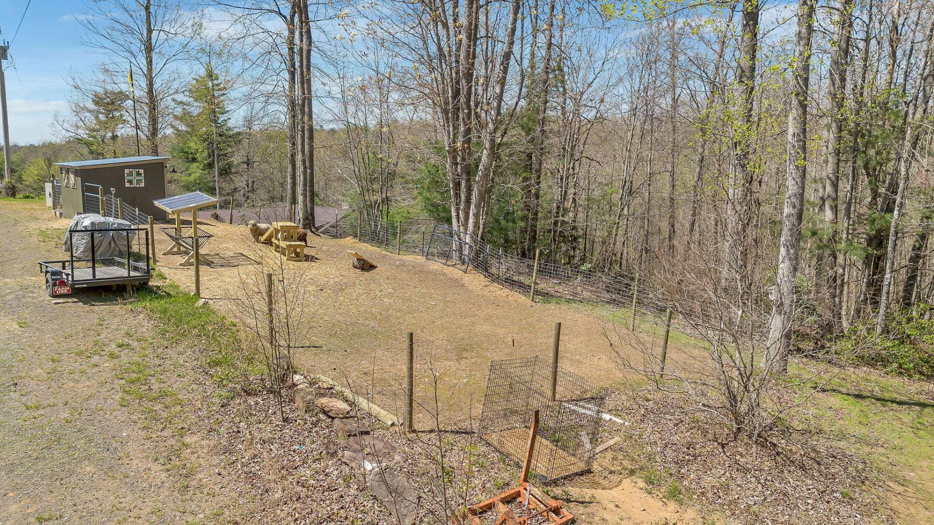 Image number 21 for the current listing