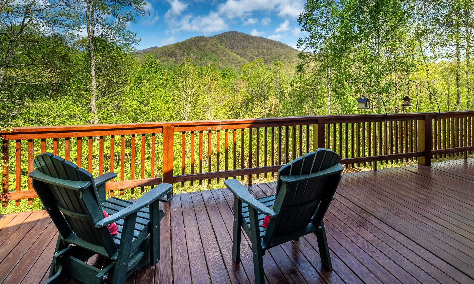 Image number 1 for the current listing