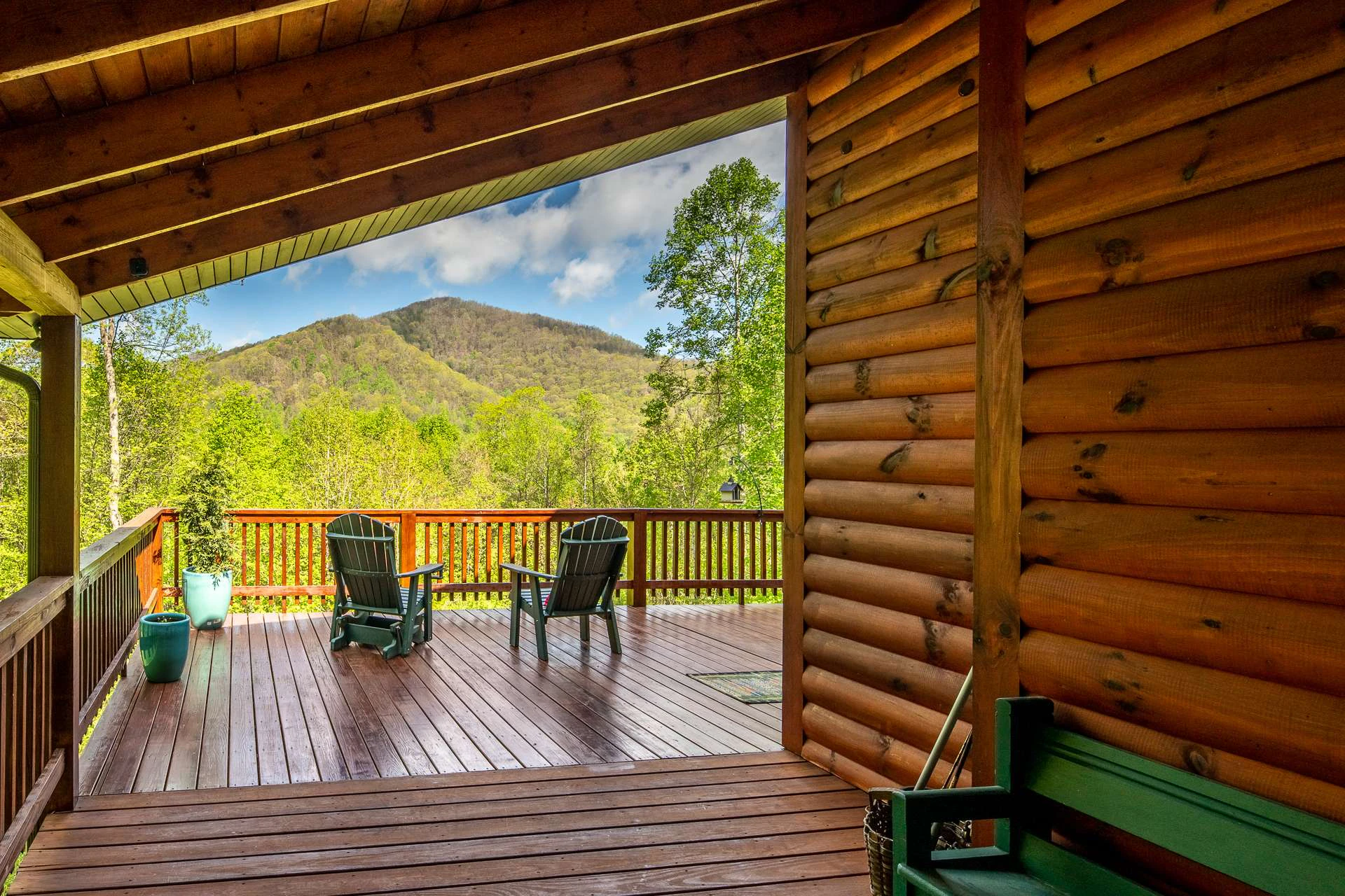 Image number 4 for the current listing