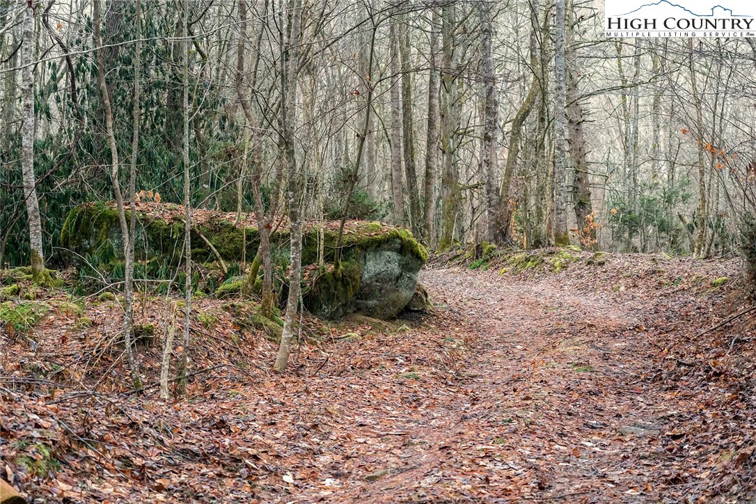Image number 15 for the current listing