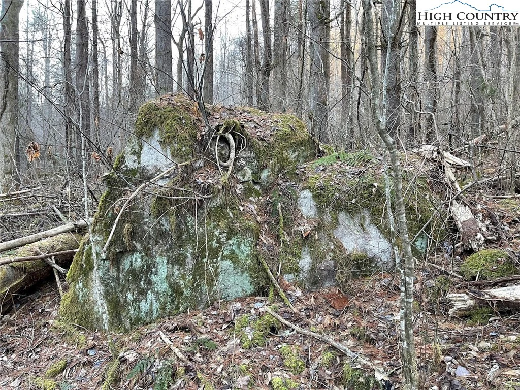 Image number 8 for the current listing